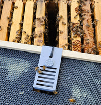 EZPZ Brood Breaker Cages, 5pk