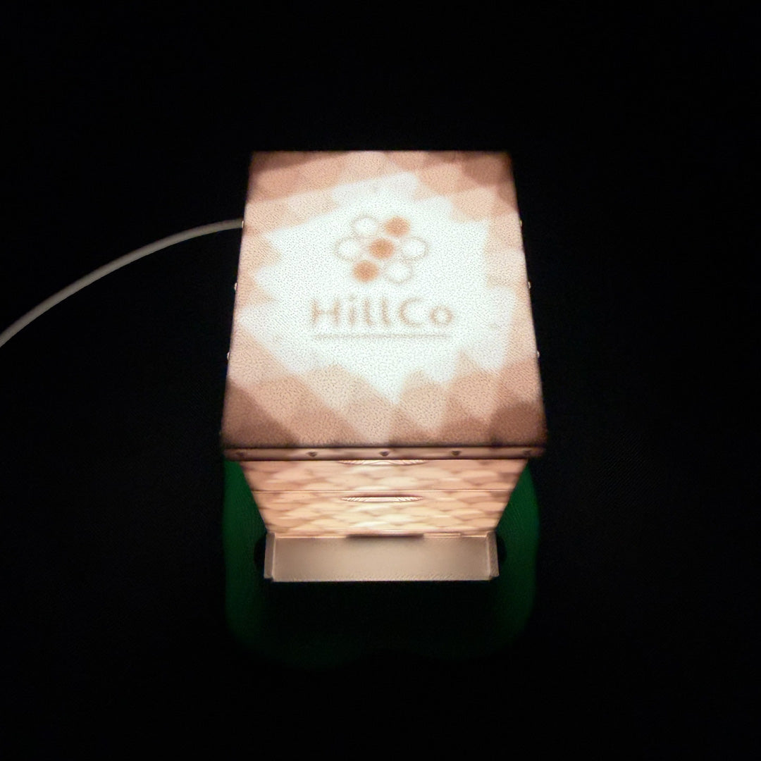 Hive Night Light