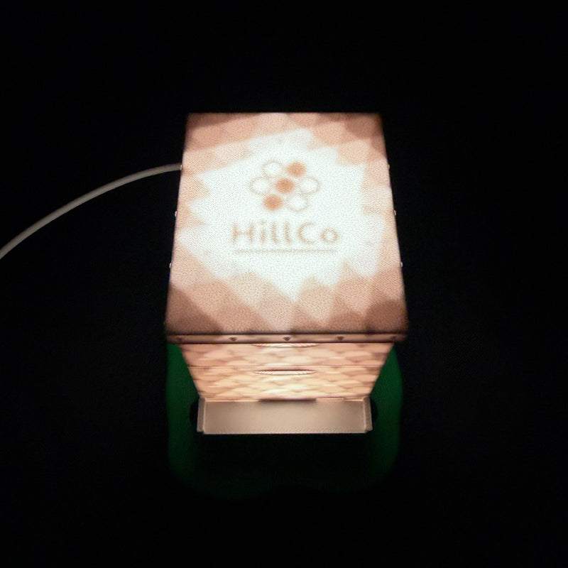 Hive Night Light