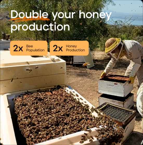 Primal Bee Hive Starter Kit