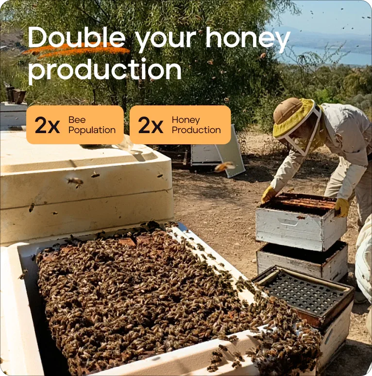 Primal Bee Hive Starter Kit