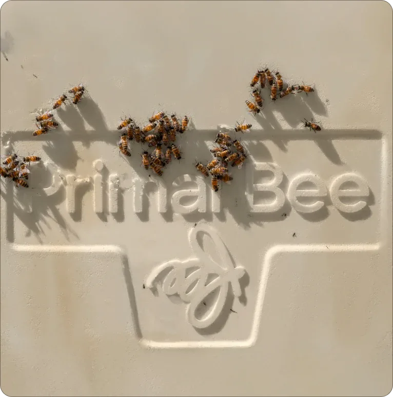 Primal Bee Hive Starter Kit