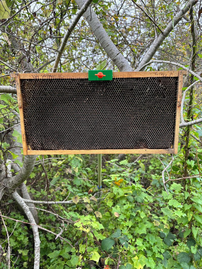 Swarm Reacher