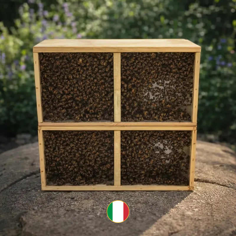 3 lb ITALIAN Package Pick Up ILLINOIS 4/18/2026