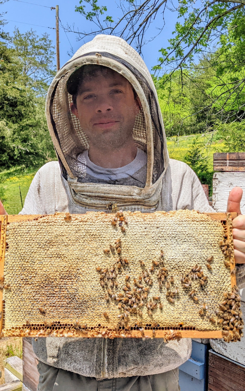 The Golden Rules of Beekeeping according to Blake & Kamon