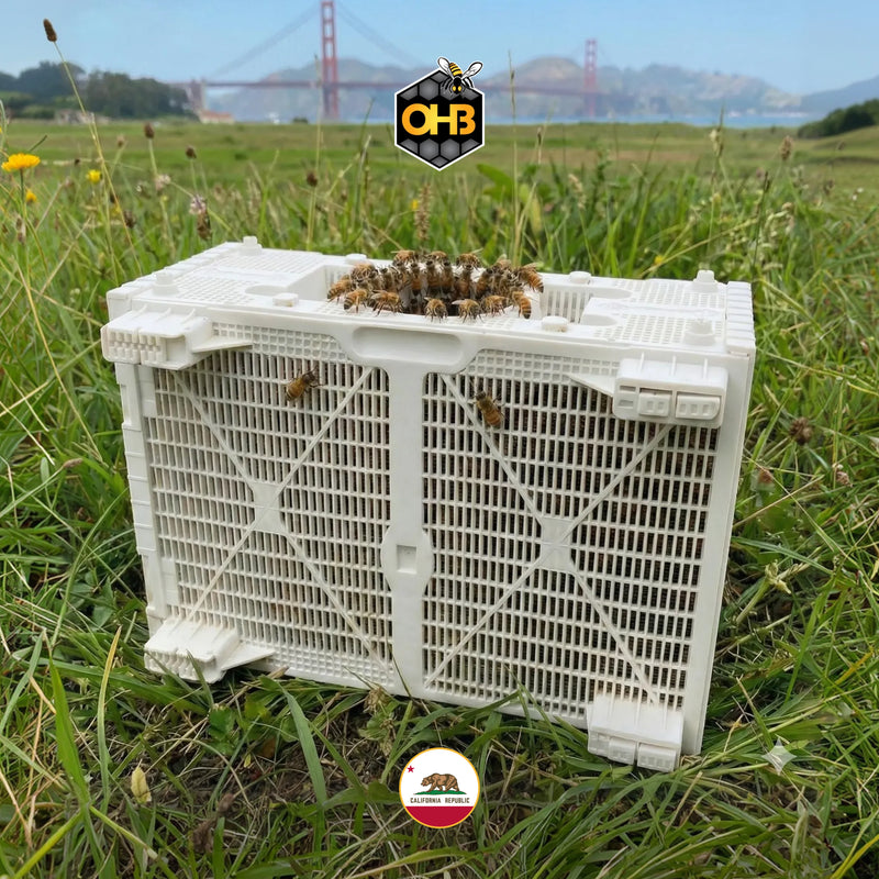 OHB Golden West Package Bees – PICK UP IN KENTUCKY