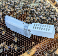 EZPZ Queen Honey Bee Cager 2.0
