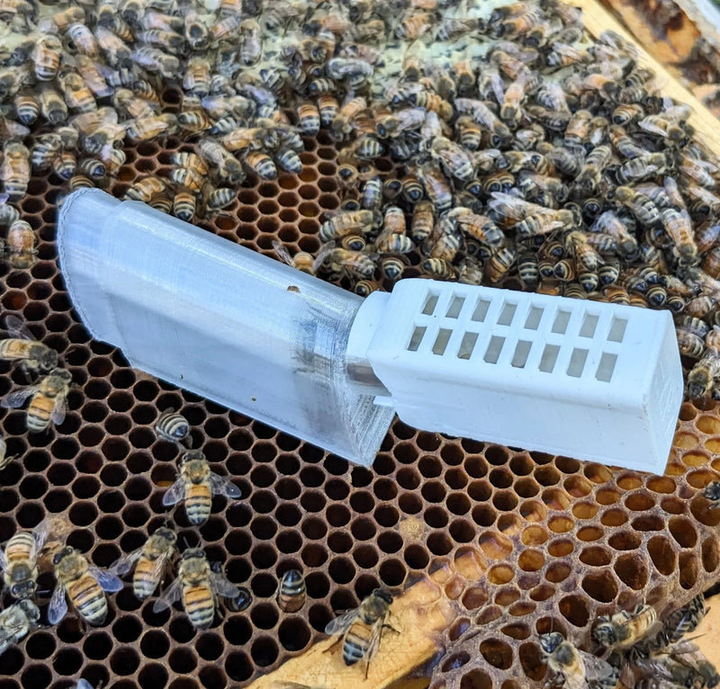 EZPZ Queen Honey Bee Cager 2.0