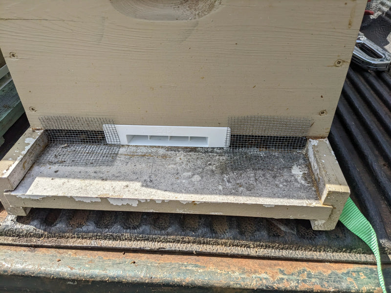 EZPZ Day Tripper, 2pk