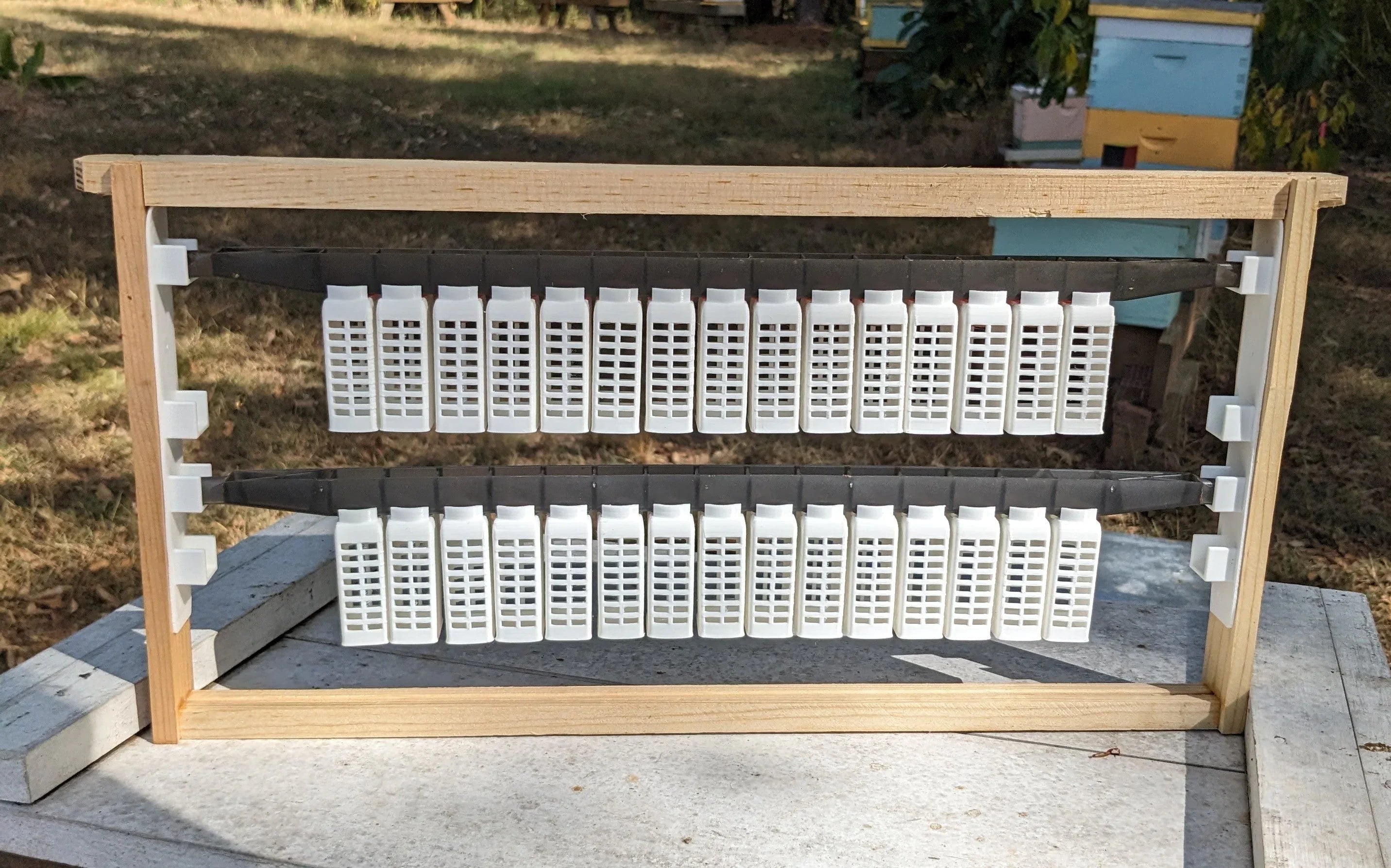 EZPZ Queen Rearing Kit – HillCo, LLC