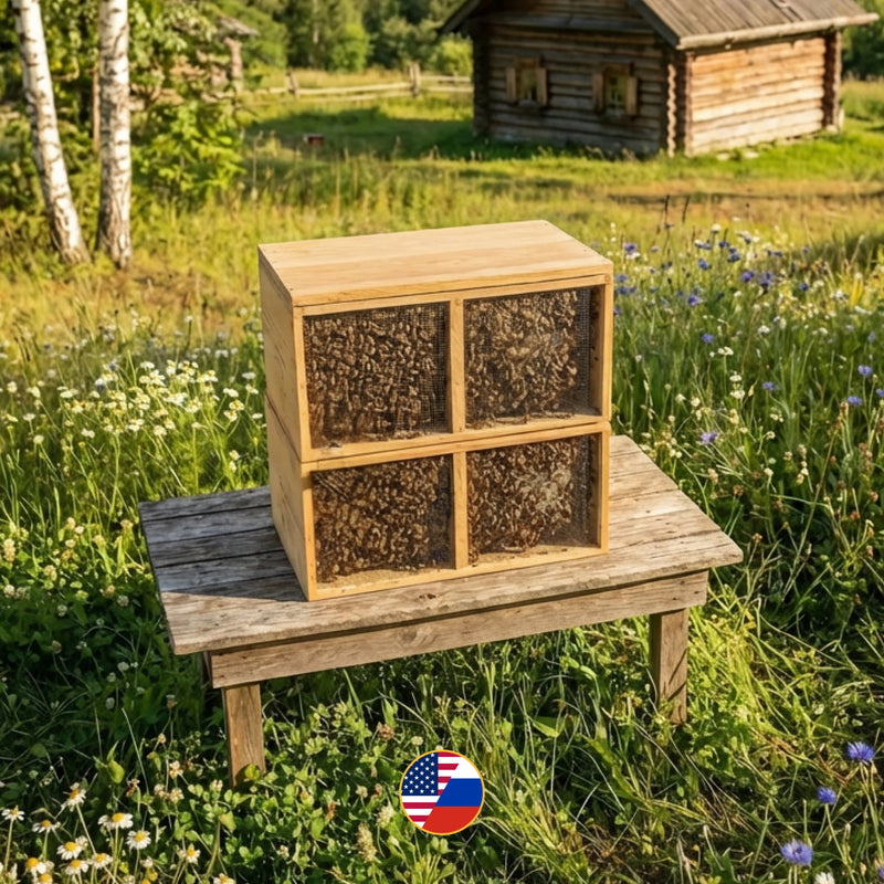 3 lb RUSSIAN HYBRID Package Pick Up KENTUCKY