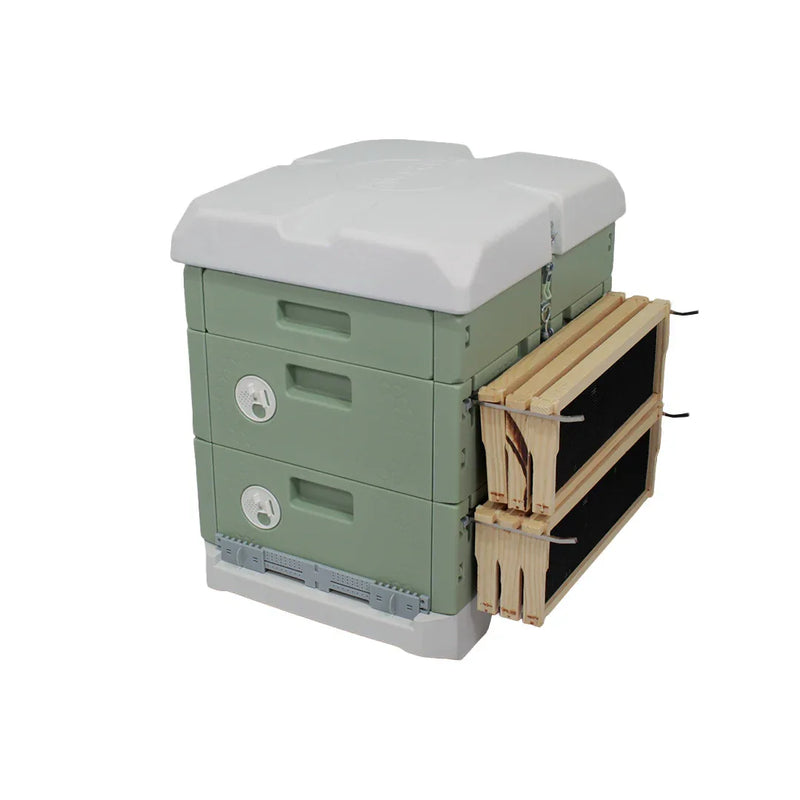 Hive365™ Premium Insulated Beehive - Double Medium Hive Kit