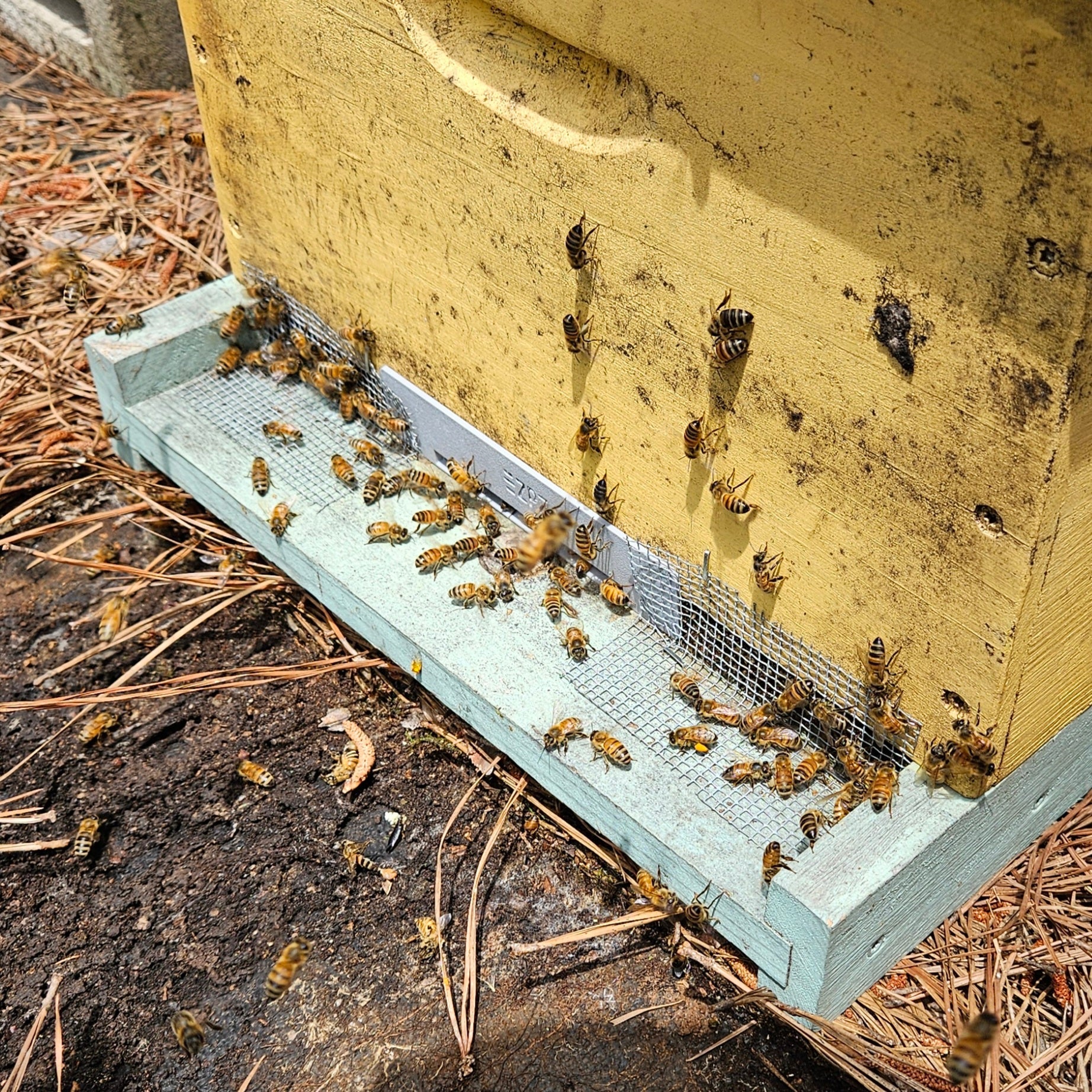 EZPZ Day Tripper, 2pk