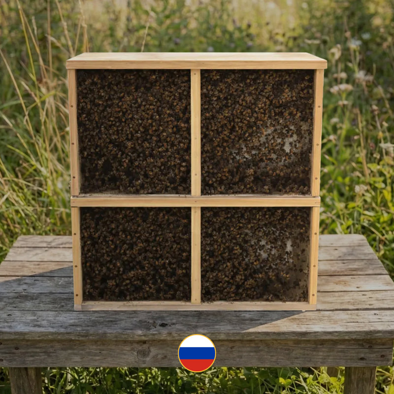 3 lb PURE RUSSIAN Package SHIPPED -- FREE SHIPPING