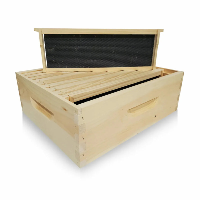 Assembled Medium Super with Frames - 10 Frame For beekeeping