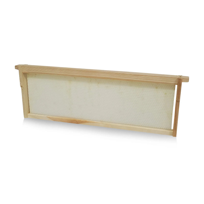Products Wood Frame with Premier Foundation - Extra Heavy Beeswax Coated (assembled) for beekeeping bee hive