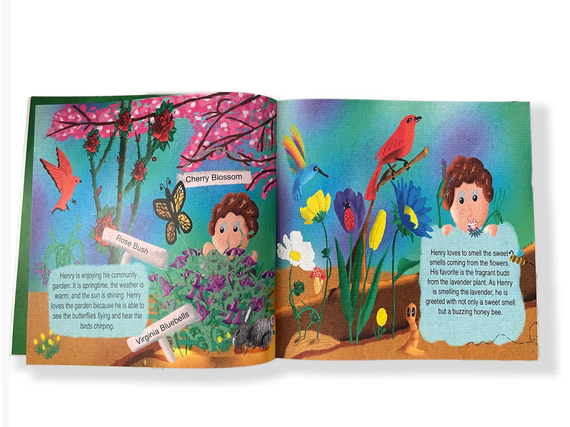 Henry Meets A Honeybee - Children's beekeeping Book